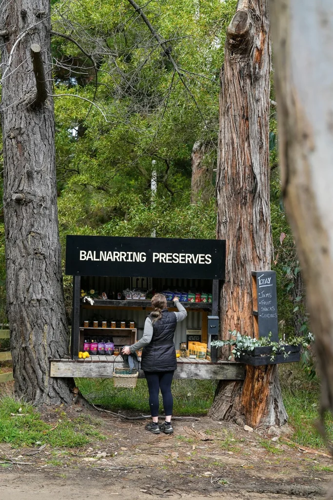BALNARRINGPRESERVES-1